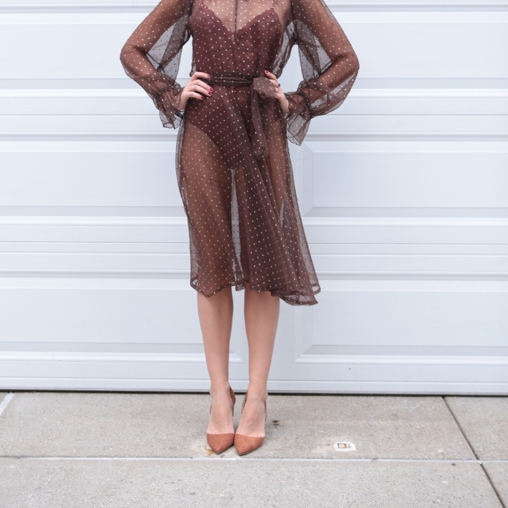 Vintage Sheer Polka Dot Dress - Picture 5 of 6